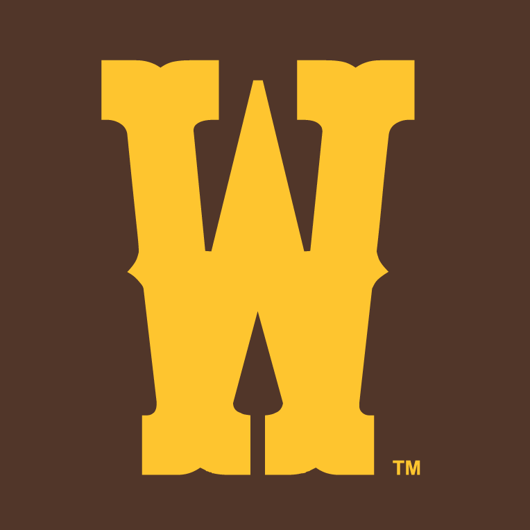 Wyoming Cowboys 2013-Pres Secondary Logo v2 iron on transfers for clothing